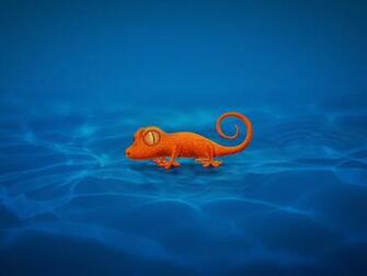 Gecko Desktop Wallpaper Vladstudio
