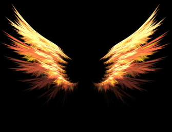Dragon Wings By Mosquitone