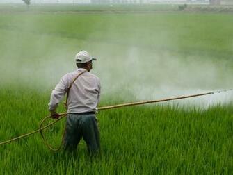 Epa Amends Proposed Regulation Of Syngenta Ingredient In Response