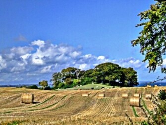 Irish Countryside Desktop Background Wallpaper