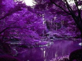 Thread Purple Scenery With Zen Pond In Japanese Garden