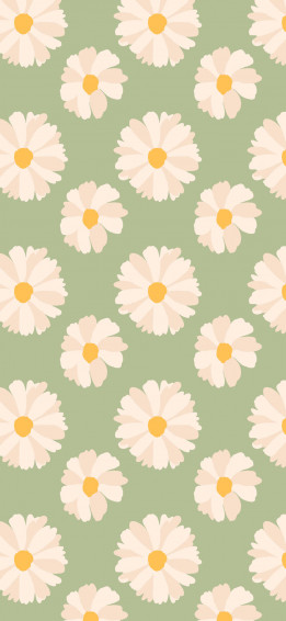 Spring iPhone Daisies Green Wallpaper