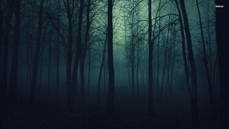 Wallpapertags Dark Forest HD Tablet Smartphone Wallpaper