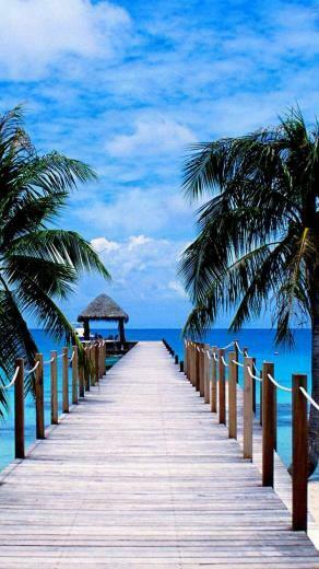 Summer Beach Paradise iPhone Wallpaper 8f13a Photo Galleria