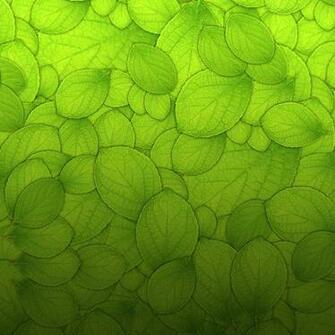 Mrforscreen Green Leaves Texture iPad Wallpaper
