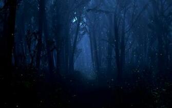 Peint Beaucoup Dans La Nuit Sombre For T Wallpaper Fond D Cran 3d