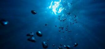 Image Gallery Deep