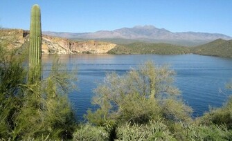 Arizona Background Related Keywords Suggestions