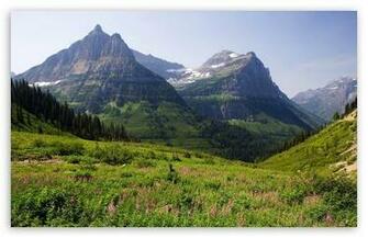 Mountain Pasture HD Wallpaper For Standard Fullscreen Uxga Xga