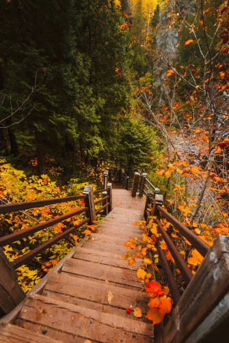 Cute Fall Aesthetic Wallpaper