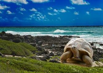 Top Things To Do In The Galapagos Islands Man Vs Clock