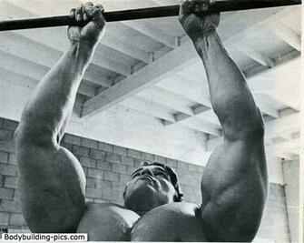 Arnold Schwarzenegger Bodybuilding Wallpaper