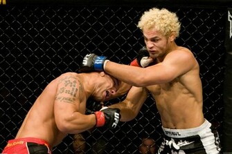 Alves Vs Koscheck Mixed Martial Arts Wallpaper Open Walls