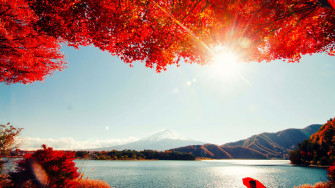 Red Pc Wallpaper