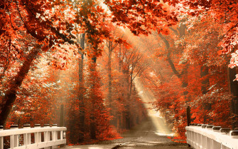 HD Fall Wallpaper For Desktop