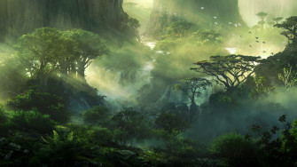 Jungle Wallpaper