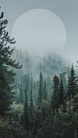 Ec5bbd377a8f25c32f13dcbe80fc73eb Wallpaper