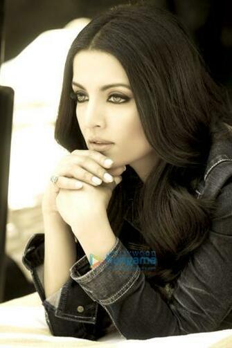 Videos Wallpaper Movies Photos Biography Bollywood Hungama