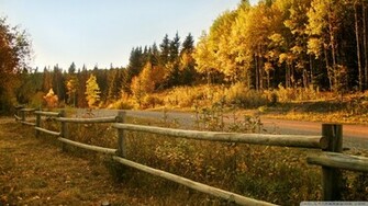 Autumn Landscape Wallpaper