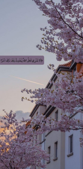 Aesthetic Islamic Wallpaper Mobcup