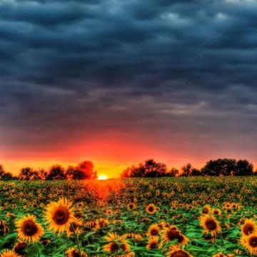 Best Summer Wallpaper Of