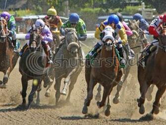 Thoroughbreds