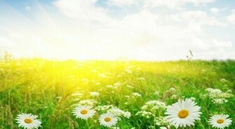 Summertime Desktop Background Photos Of