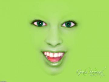 Funny Desktop Wallpaper For Your