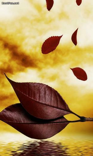 Most Beautiful Mobile Animated 3d Wallpaer Screensaver Happy