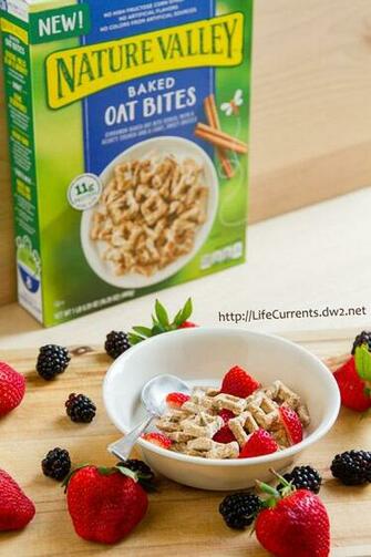National Cereal Day With Nature Valley