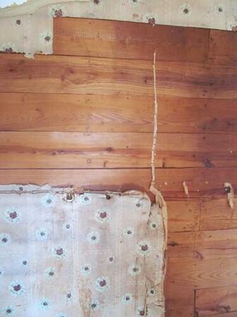 If They Weren T Used On Walls Many Times Were As Roof