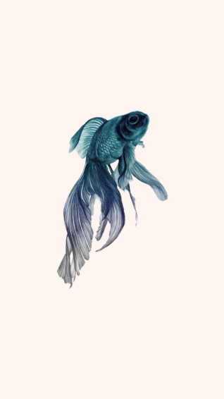 Dri Gibelini On Wallpaper Oil Painting Gallery Betta