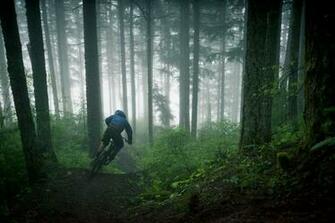 Pacific Northwest Wallpaper