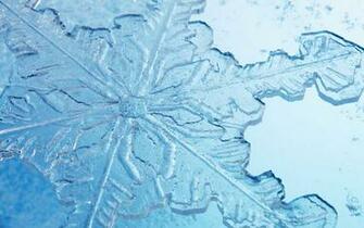 The Widescreen Aesthetic Snow And Frost HD Wallpaper