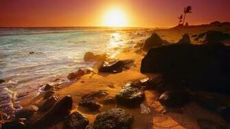 Naturalistic HD Nature Wallpaper Pack