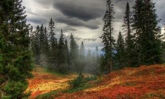 Wallpaper Name 4k Ultra HD Nature