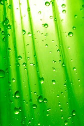 Simply Green iPhone Wallpaper HD