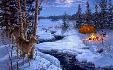 Winter Snow Animals Deer Wallpaper