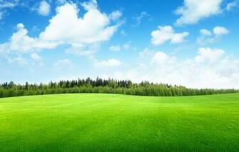 Mobile Screensavers Wallpaper Nature Android