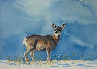 Mule Deer Wallpaper