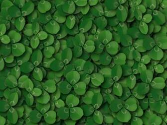 Shamrock Background Wallpaper Michael Mahachi Re