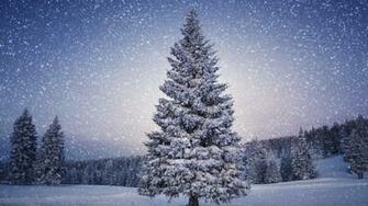 Url Wallfon Nature Forest Winter Evening Snow Fall Html