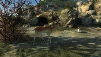 Cabelas Dangerous Hunts Wii Game All Gaming Auto
