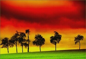 Reggae Wallpaper