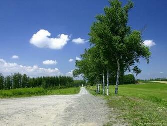 Windows Xp Widescreen Wallpaper And Large Pictures