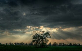 Wallpaper Makes One Feel Optimistic And Inner Sunshine Click