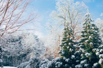 Winter Wallpaper HD Hq