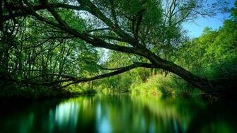Wallpaper Background Background Gallery