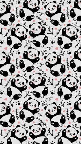Panda Speech Discourse Animalwallpaper