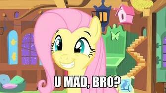 My Little Pony Funny Memes